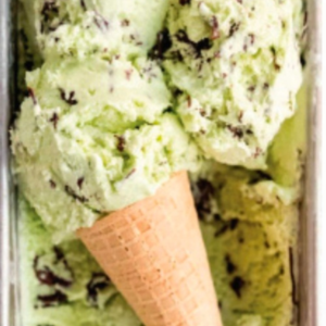 Vegan mint & Choco chunk icecream 100G